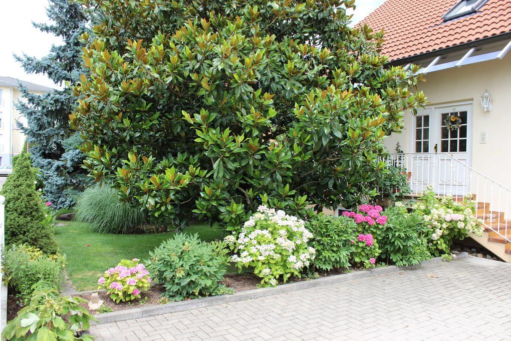 Ferienwohnung Fleck Rust Exterior foto
